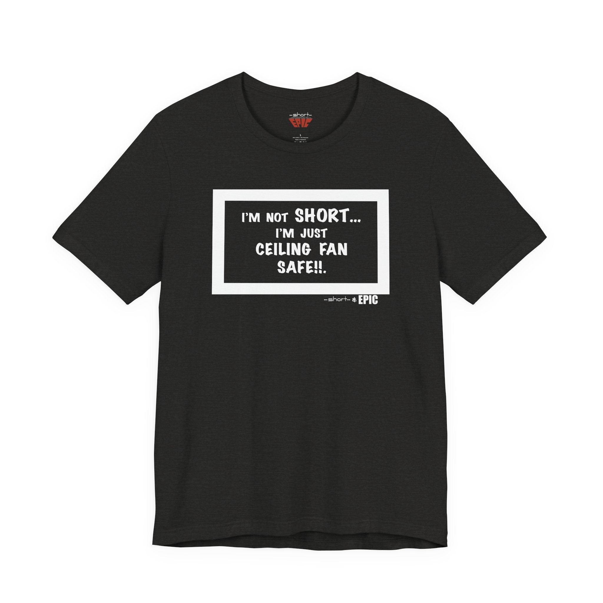 Ceiling Fan Safe Tee